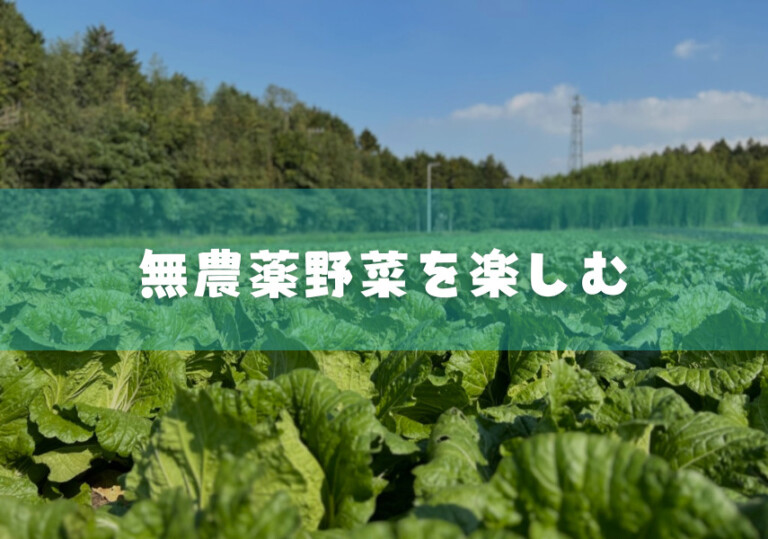 無農薬野菜を楽しむ@柴海農園