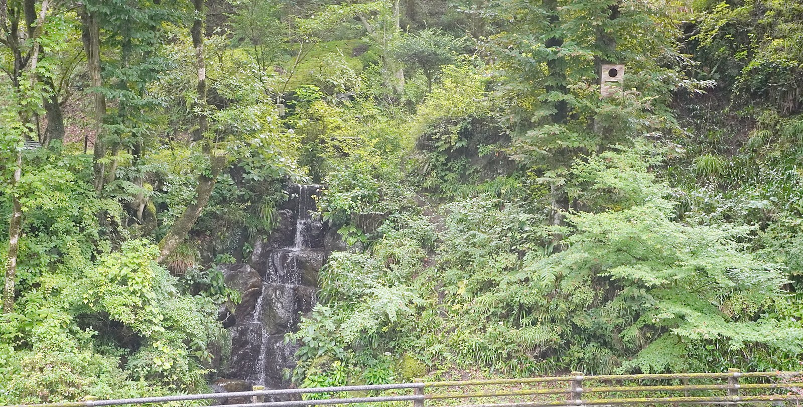 名栗温泉・大松閣の目の前に流れ落ちる、名栗の滝と新緑