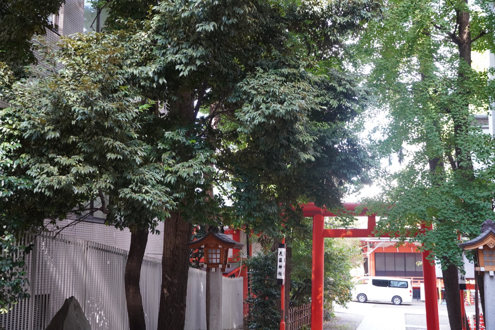 新宿・花園神社の鳥居と木々